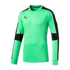 2018 Triumphant GK Jersey - Fluro Green Alternate